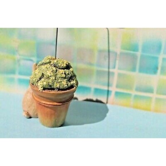 Marjolein Bastin Note Card/ Recipe/Photo Holder Bunny RABBIT - Picture 6 of 10